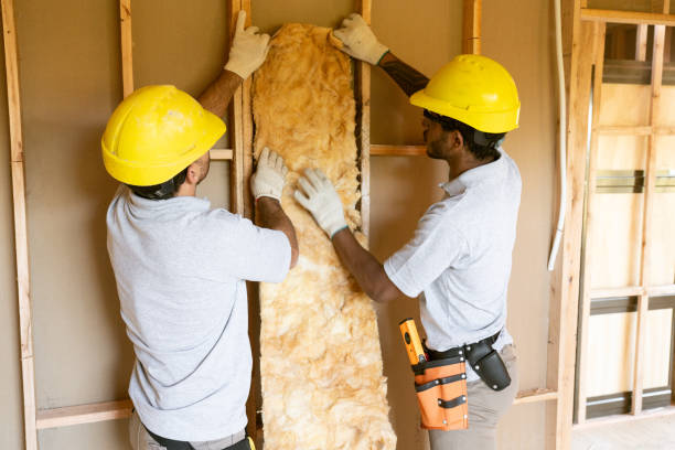 Best Insulation Removal Services  in Queens Gate, PA
